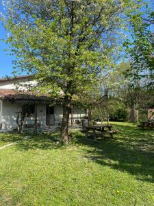 Agriturismo Viticcio