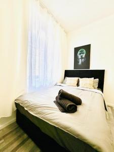 Affordable 4BR Shared Apartment, 10 Min to FAC Platz