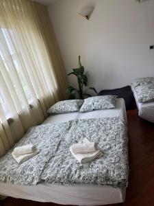 Trnovo Lunca Apartment 