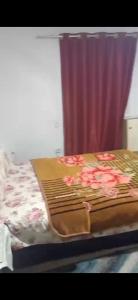 شقة مفروشة فري