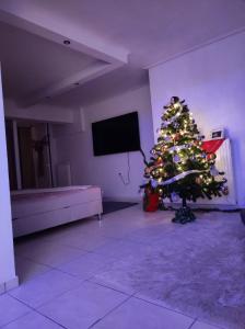 Basement Suite