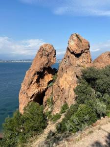 Appartements Riviera Azur sea view, swimming pool, jacuzzi : photos des chambres