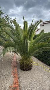 Villas Villa Lou Carou - Vue mer et Baie de Nice : photos des chambres