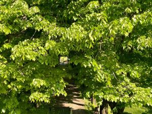 Saso - Casa di charme e relax