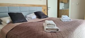 Aparthotel Apartamenty Czarna Góra 134