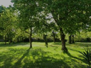 Hotels Hotel et SPA du Chateau : photos des chambres