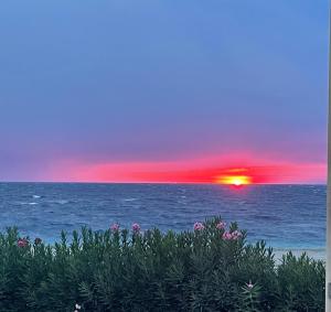 Casa vacanze “ il Tramonto”