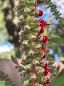 Maisons de vacances STUDIO Havre de paix au pont du gard Piscine et Jacuzzi chez Valerie Payre : photos des chambres