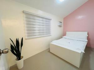 Casa Serenity Transient House