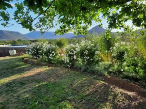 Eenzaamheid Holiday Farm