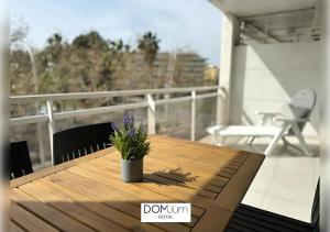 DOMuum Holidays - ROYAL DELUXE