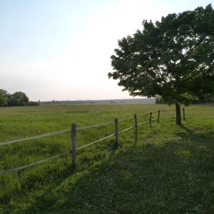 Country house for animals and nature lovers