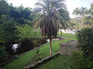 Sítio em Ribeirão Pires