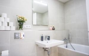 Waltrovka One bed room apartment