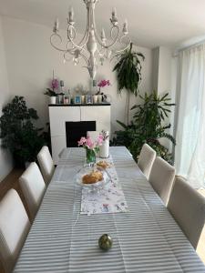 Apartment Svagi Rooftop