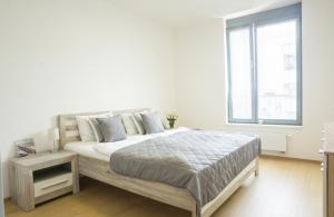 Waltrovka One bed room apartment