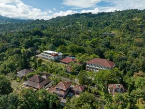 The Glamping at ARTOTEL Pelangi Park