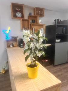 Appartement rétro nature avec jardin 15 min Toulouse centre