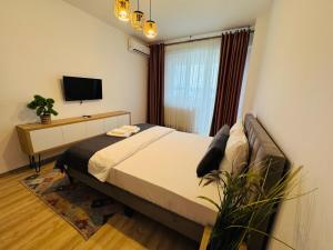 Central Apartment - Palas Mall