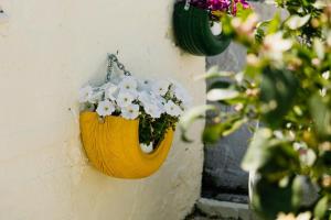 Center Village Villa