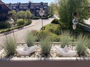 Berolina 125 - Sonnenseite