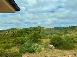 Studios con vista img40