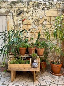 Appartements Lumineuse maison de centre-ville : photos des chambres