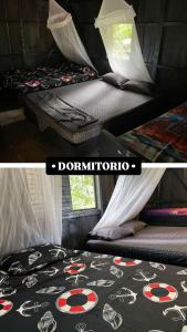 Pacific Dream Eco-Hostal