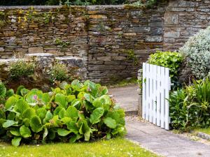 Maisons de vacances Maison au coeur de Locquirec : photos des chambres