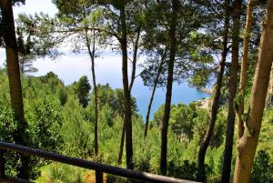 Casa Elly between sea and nature