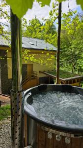 Chalet Robinson