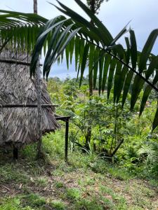 Pacific Dream Eco-Hostal