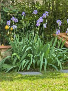 Elegante bilocale Elegant Double Room