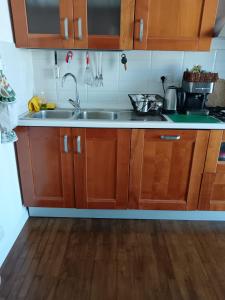 Apartment mit 1 Schlafzimmer