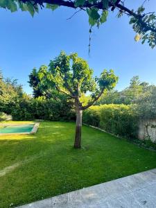 Mas Paradou, au coeur des Alpilles