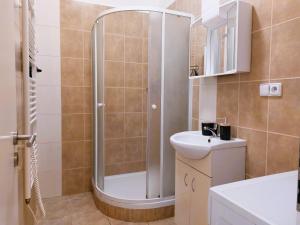 Apartment ČSA #4 in the Historic Center Hradec Králové