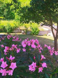 Cascina Bruna villa con giardino in Val Trebbia
