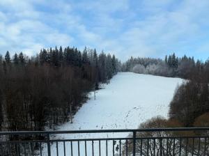 Apartmán Brezovina Lux