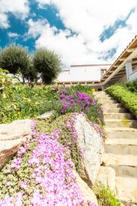 Agriturismo Bed and Breakfast Tanca Taroni