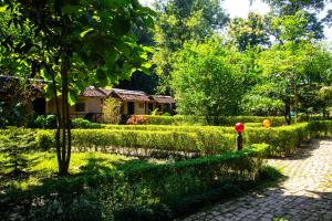 Wild Planet Eco Retreat