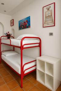 Bunk Bed in Mixed Dormitory Room