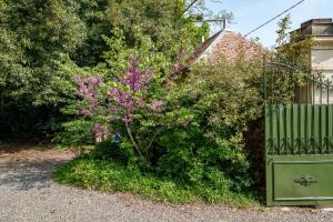 Maison 10 personnes 4 ch Bourgueil #vignobles