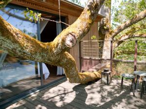 Tentes de luxe Cabane perchee - lac prive, spa & nature : photos des chambres