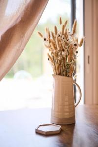 Maisons de vacances La Bastide des Oliviers : photos des chambres