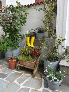 Guesthouse Doma est 1991