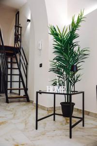 Domus Ursino Elegance