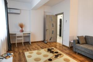 Campus Apartment Oasis