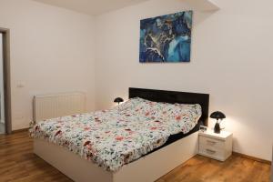 Campus Apartment Oasis