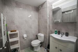 Campus Apartment Oasis