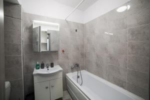 Campus Apartment Oasis